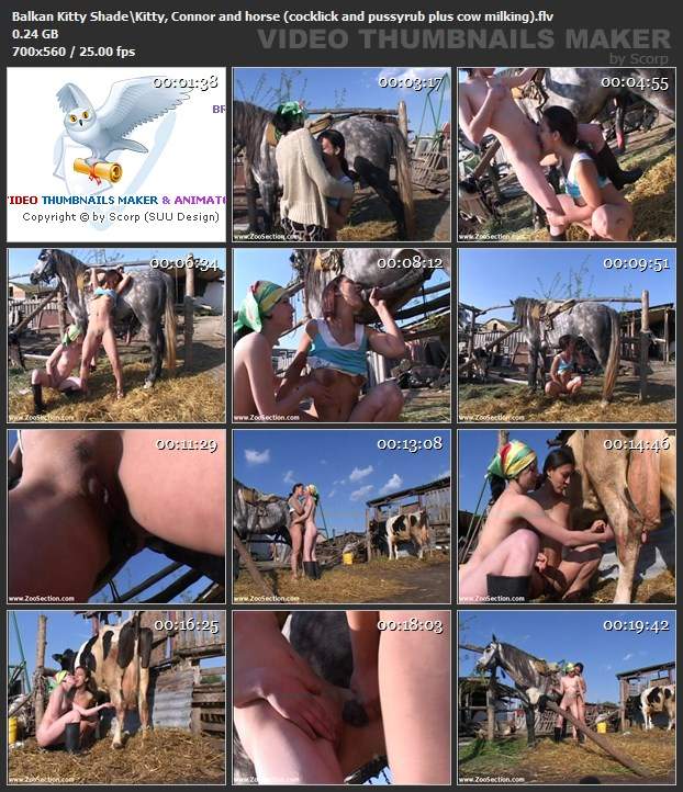 dogbond Blu-ray zoofilia animal sexo tubo Pornô de cavalo gozando dentro de mulher filmes zoofiliade  brasileirinhas Porco Comendo Cuzinho De Mulher Quarentona